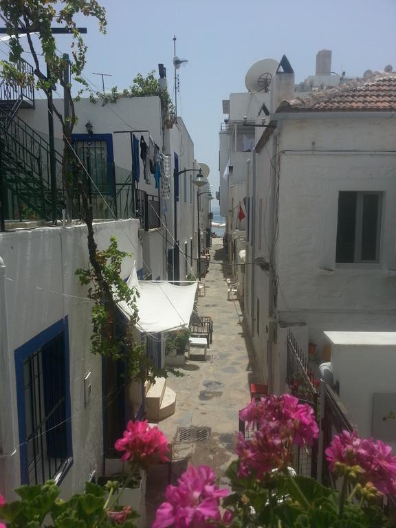 Cemil Ipekci Pension Αλικαρνασσός Εξωτερικό φωτογραφία